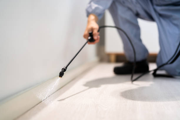 Bed Bug Pre-Treatment Preparation Assessment in Lexington